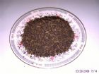 4星級四季春青茶